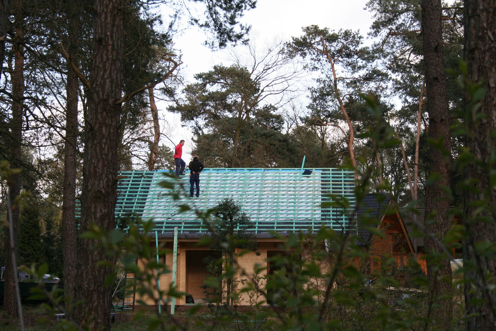 houten huis dakbedekking